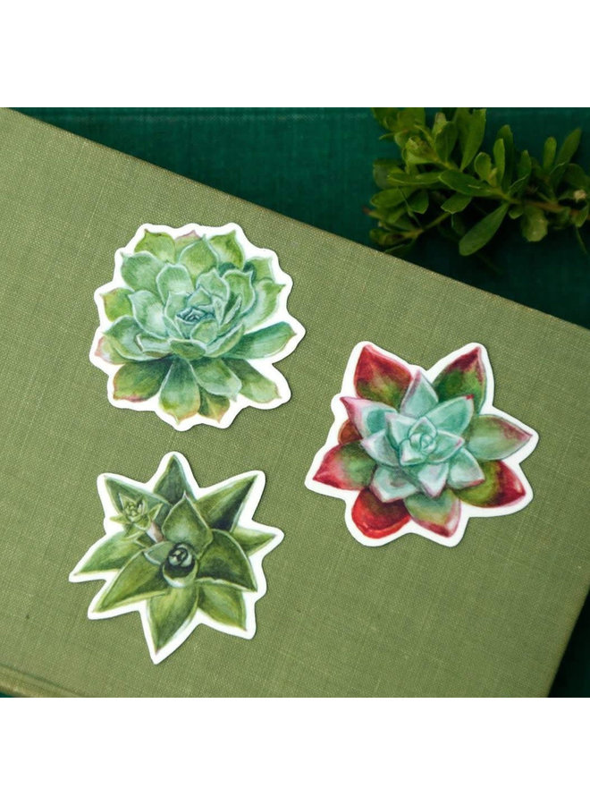 CA Succulents Sticker Set