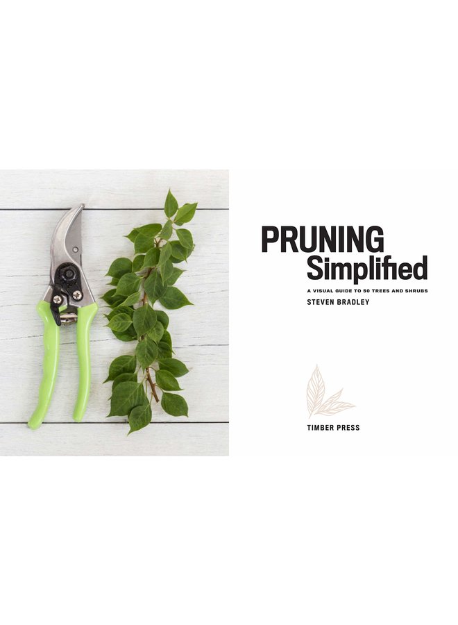 Pruning Simplified