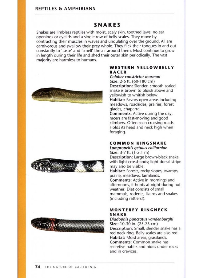 The Nature of California: An Introduction to Familiar Plants, Animals and Outstanding Natural Attractions