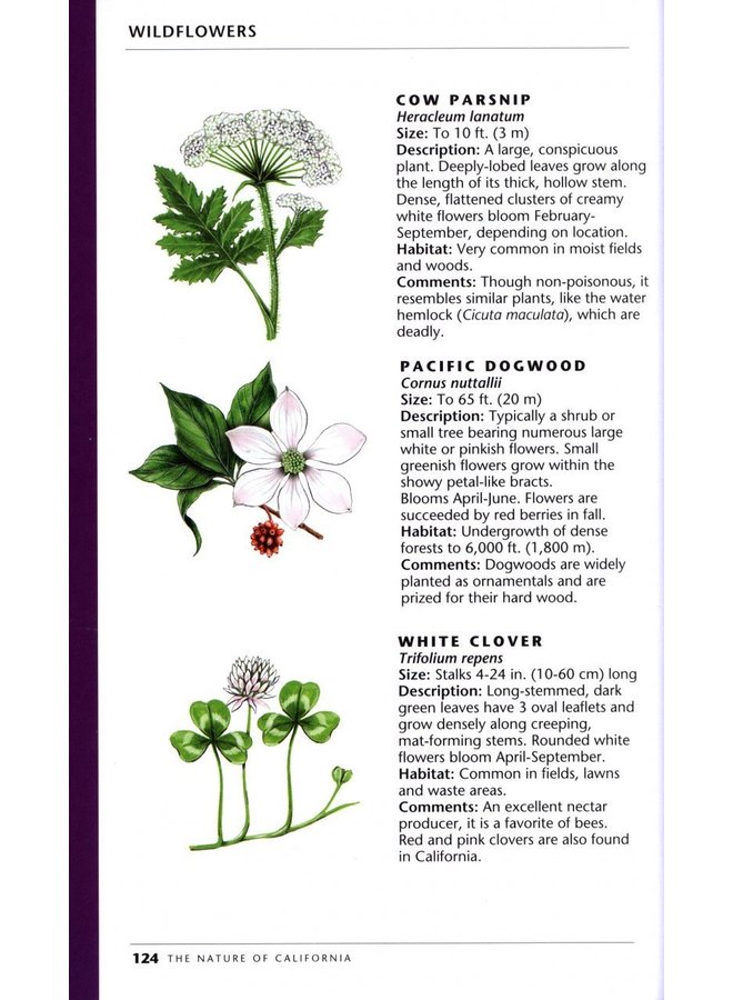 The Nature of California: An Introduction to Familiar Plants, Animals and Outstanding Natural Attractions