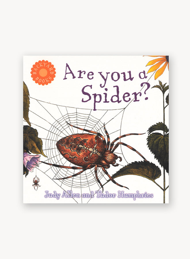 Are You a Spider?