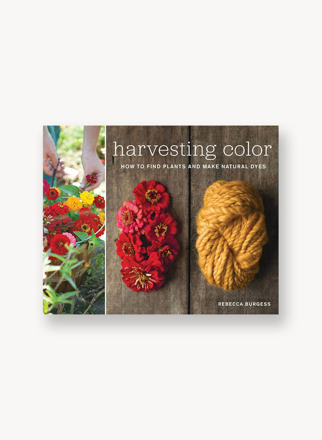 Harvesting Color: How To Find Plants and Make Natural Dyes