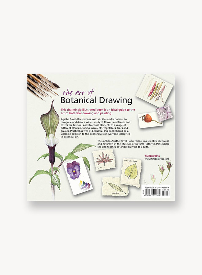 The Art of Botanical Drawing: An Introductory Guide - TOP