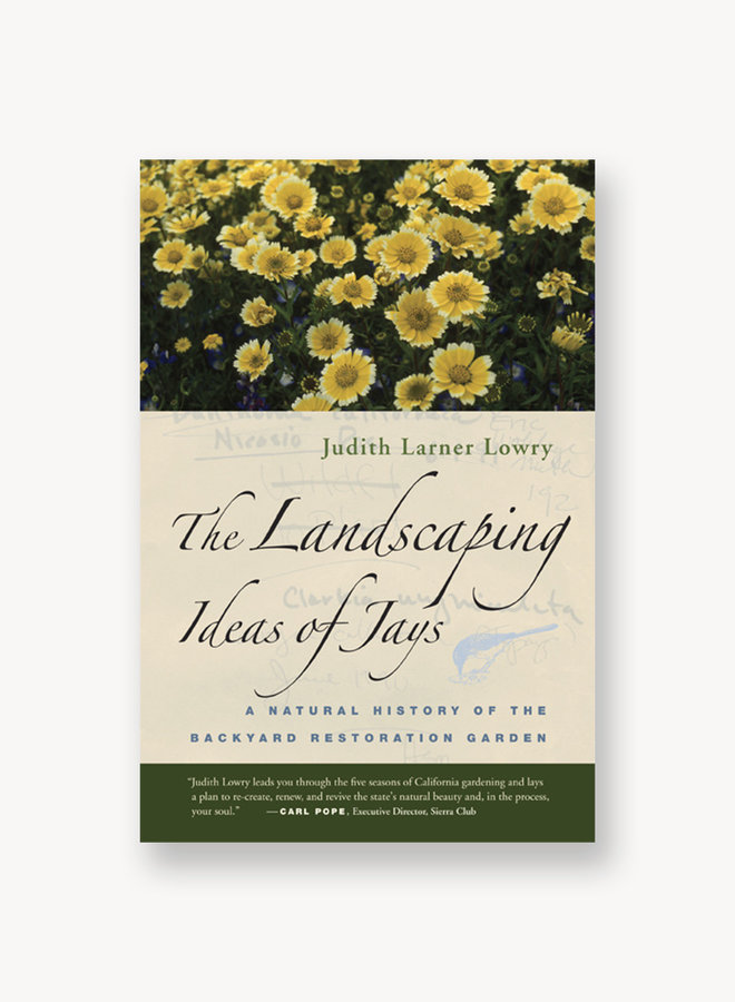 The Landscaping Ideas of Jays