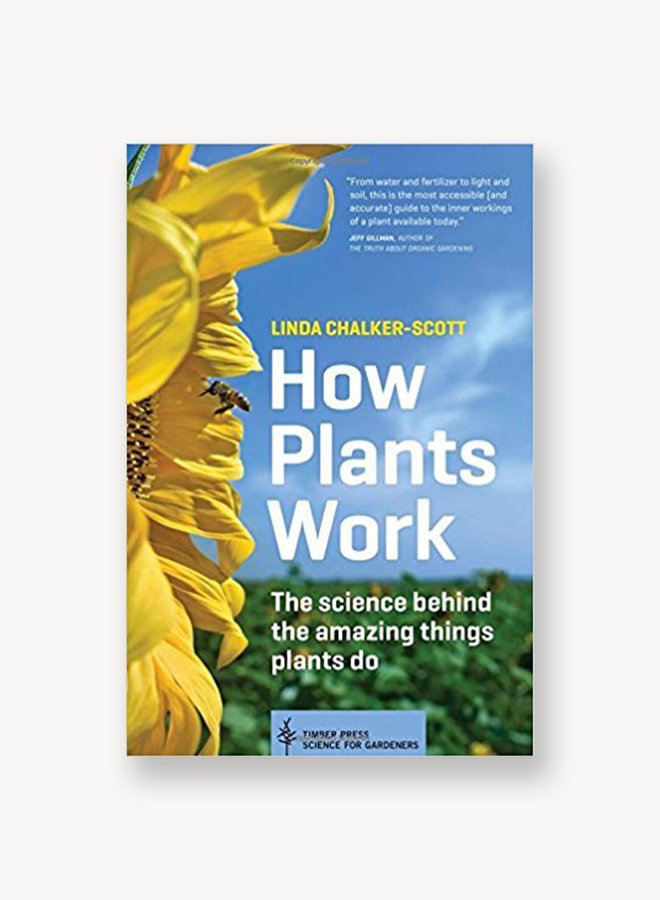 How Plants Work: The Science Behind the Amazing Things Plants Do