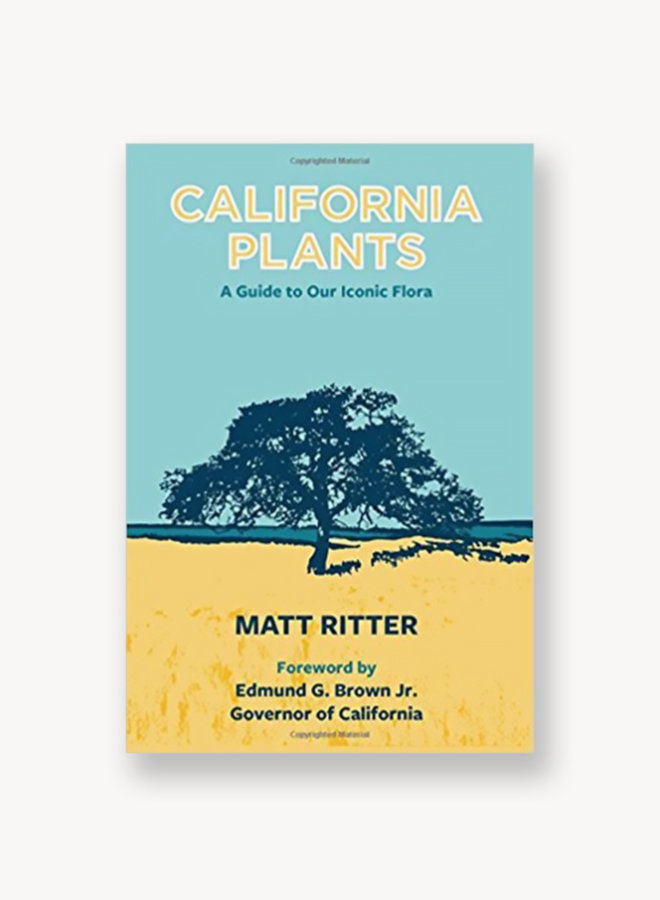 California Plants: A Guide to Our Iconic Flora