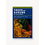 Trees and Shrubs of California