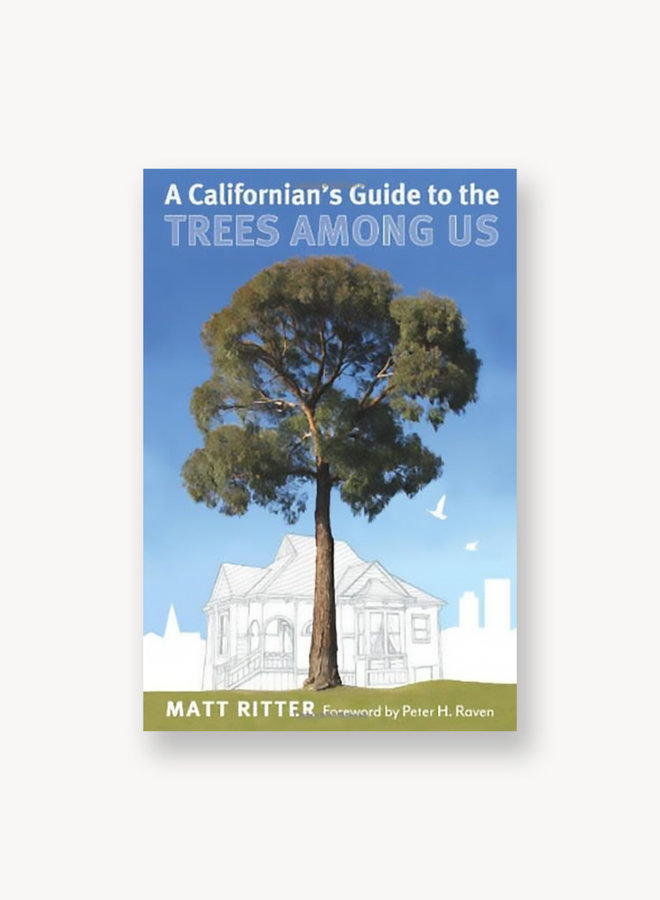 A Californian's Guide to the Trees Among Us