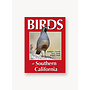 Birds of Southern California