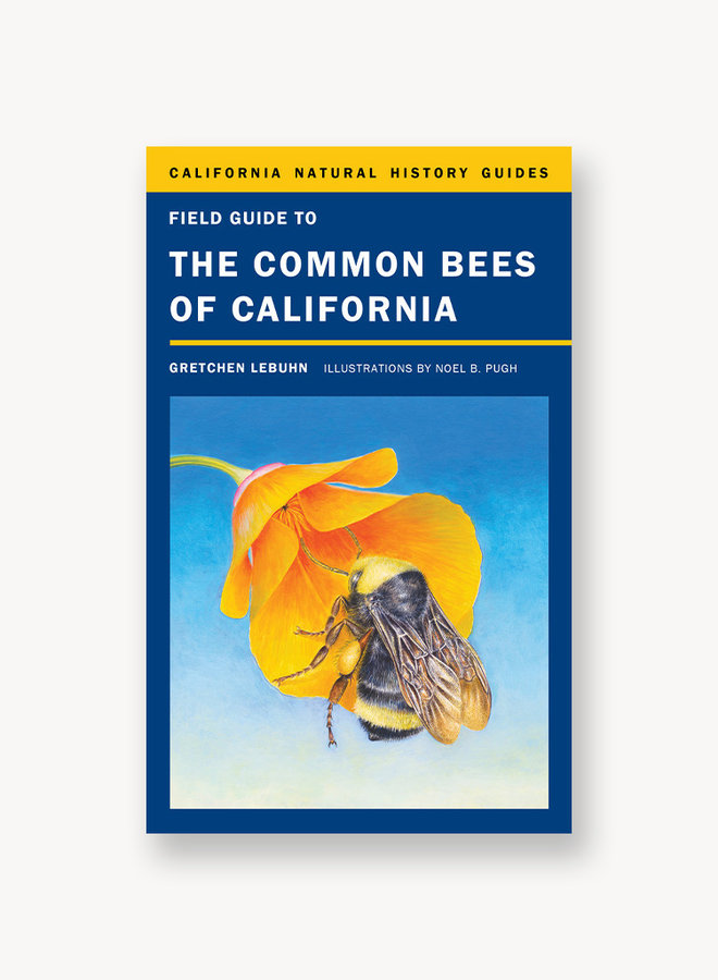Field Guide to the Common Bees of California