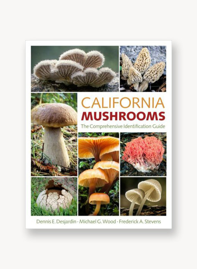 California Mushrooms: A Comprehensive Identification Guide