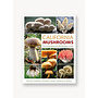 California Mushrooms: A Comprehensive Idenitifcation Guide