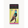 QuickReference - Hummingbirds of North America