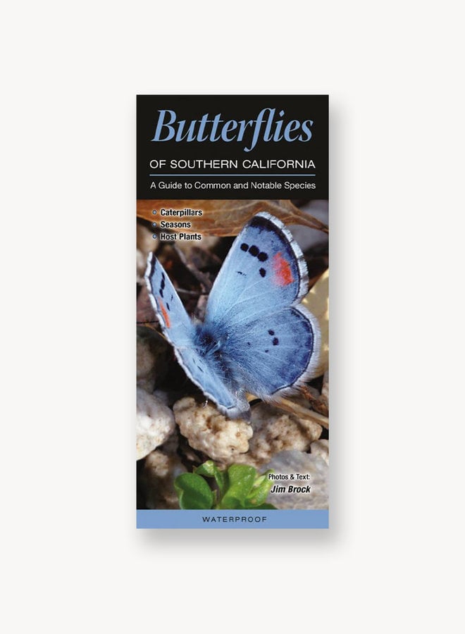 QuickReference - Butterflies of Southern California
