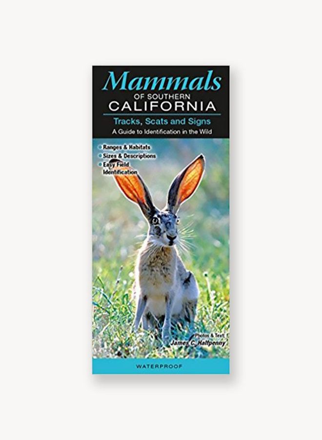 QuickReference - Mammals of Southern California