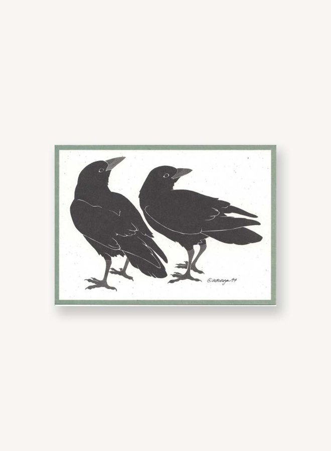 Ravens - Box of 8