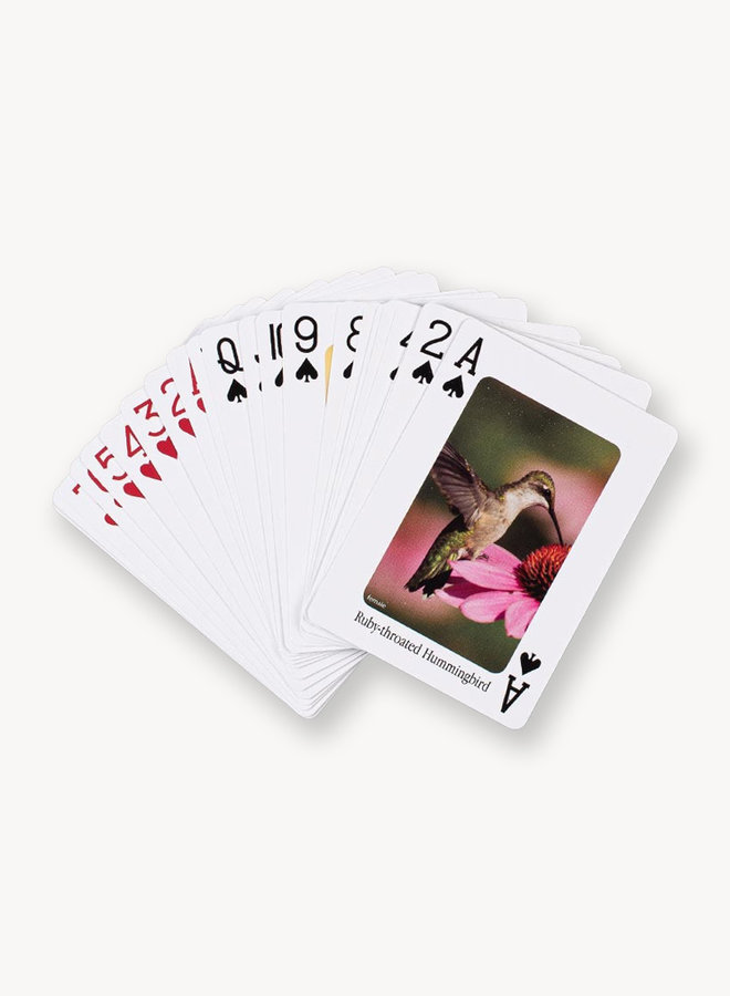 Hummingbirds - Playing Cards