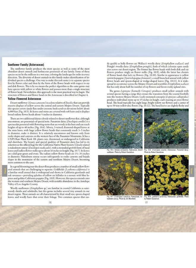 California Desert Plants