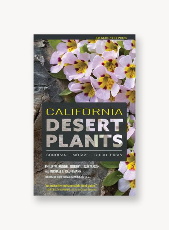 California Desert Plants