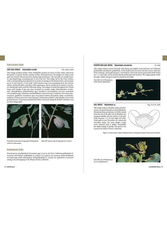 Plant Galls of the Western United States