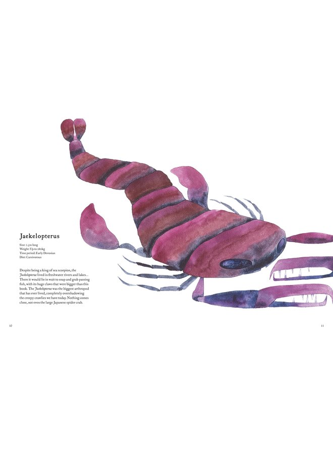 Forgotten Beasts: Amazing Creatures That Once Roamed the Earth