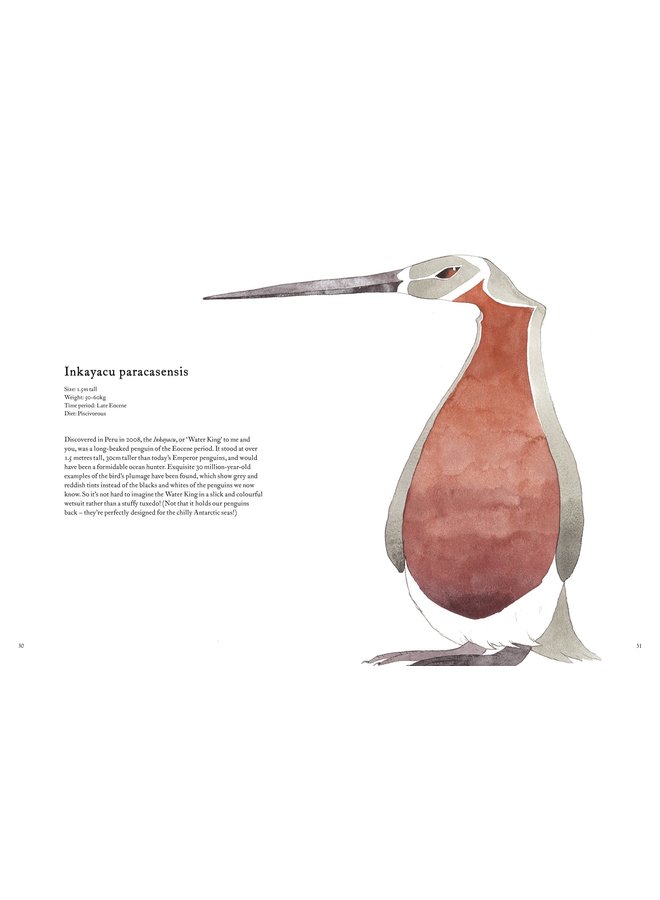 Forgotten Beasts: Amazing Creatures That Once Roamed the Earth