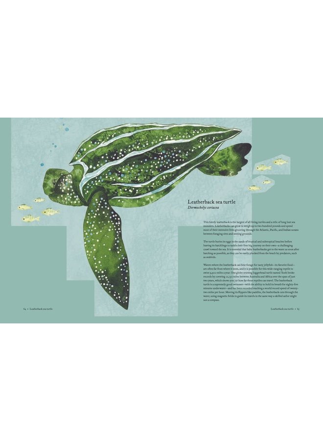 The Atlas of Migrating Plants and Animals