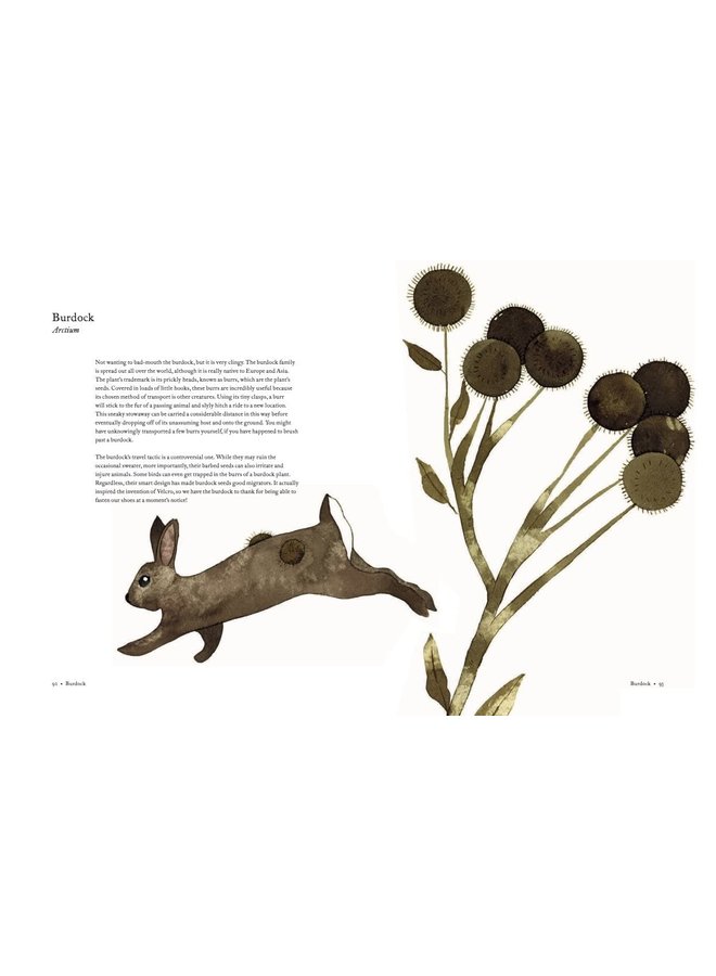 The Atlas of Migrating Plants and Animals