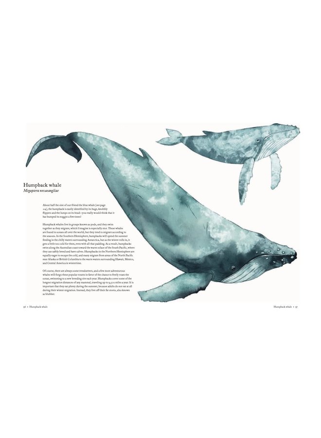 The Atlas of Migrating Plants and Animals