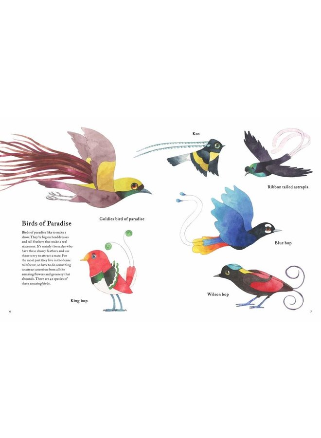 The Atlas of Amazing Birds