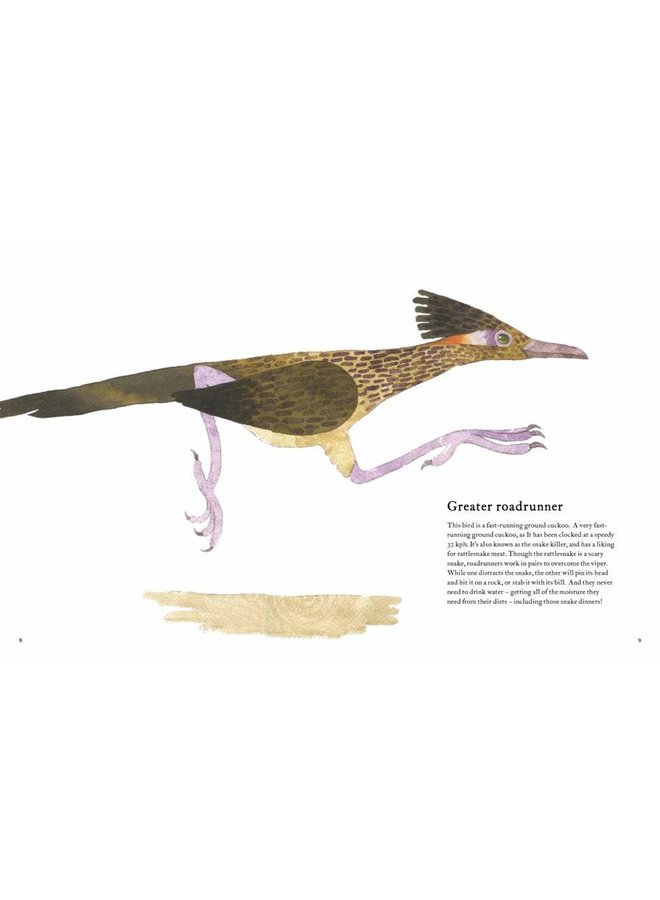 The Atlas of Amazing Birds