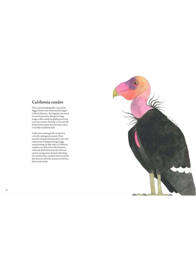 The Atlas of Amazing Birds