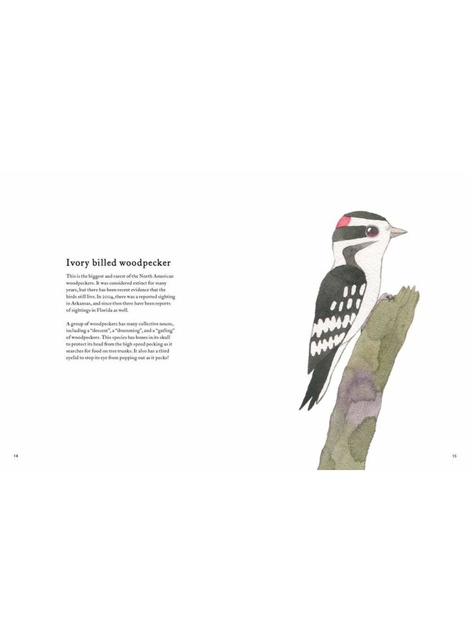 The Atlas of Amazing Birds