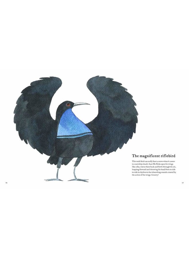 The Atlas of Amazing Birds