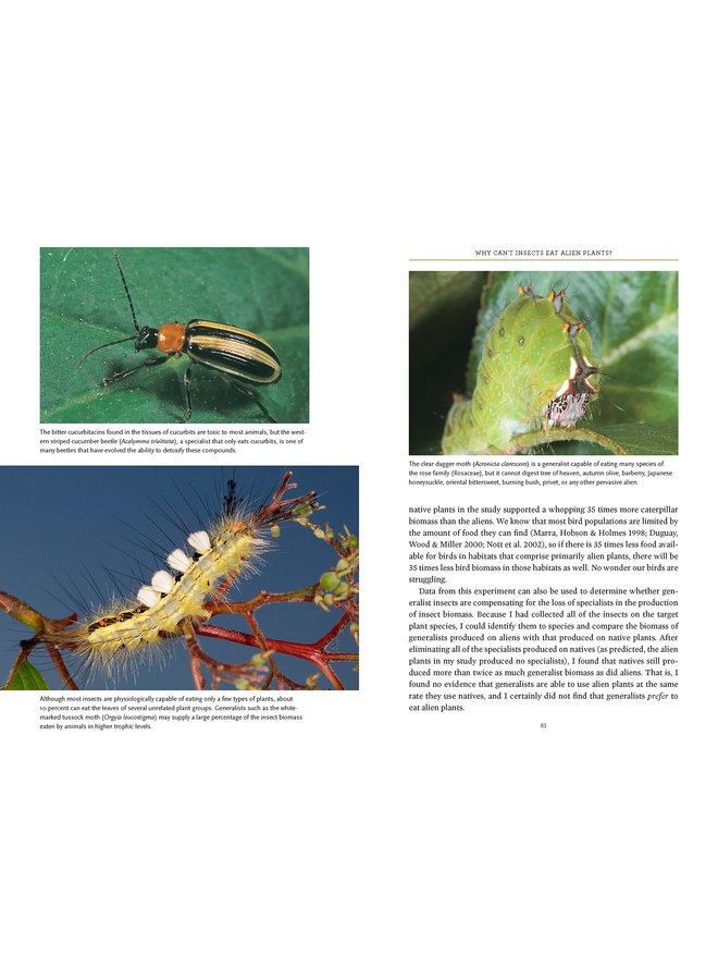 Bringing Nature Home