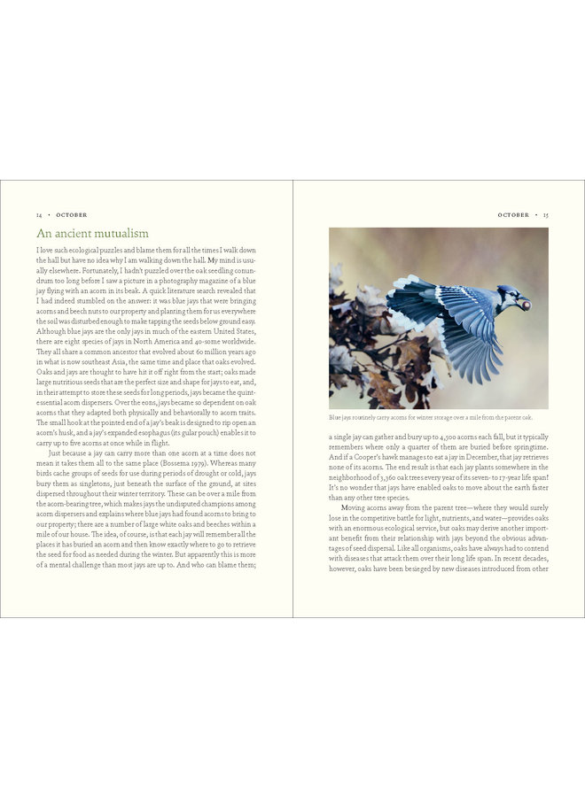 The Nature of Oaks: The Rich Ecology of Our Most Essential Native Trees