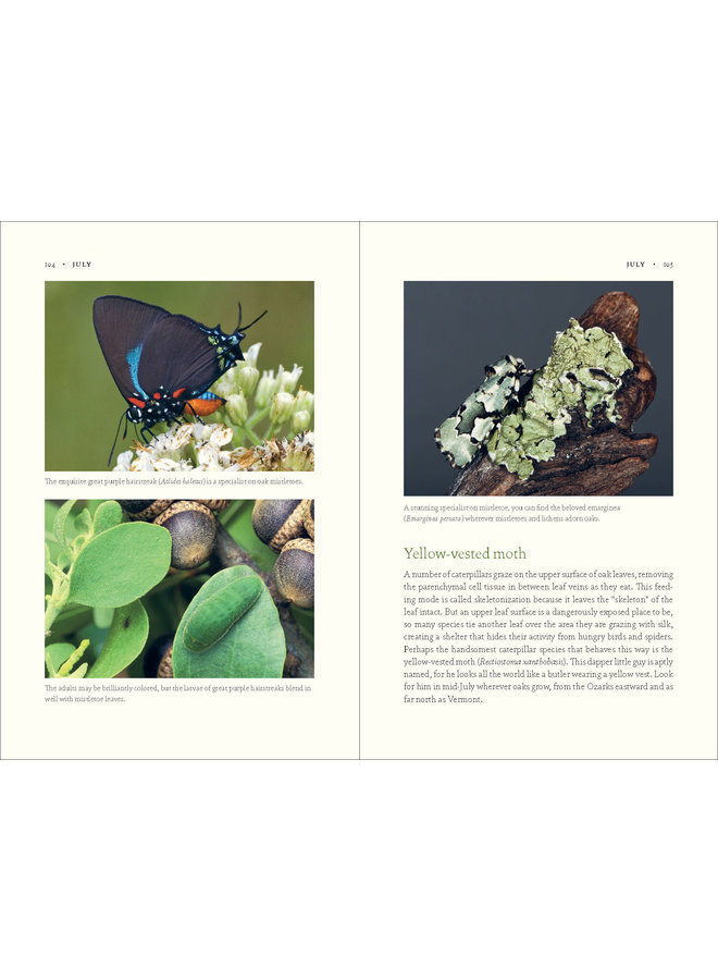 The Nature of Oaks: The Rich Ecology of Our Most Essential Native Trees