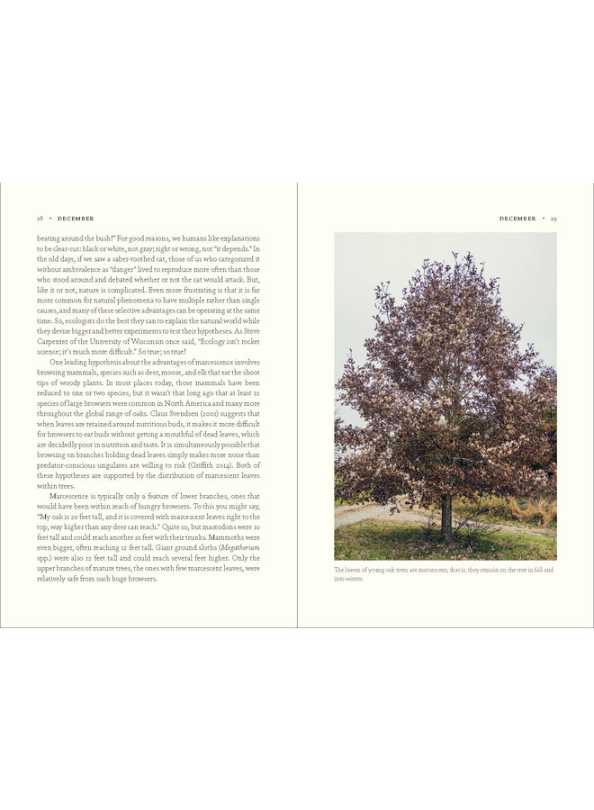 The Nature of Oaks: The Rich Ecology of Our Most Essential Native Trees