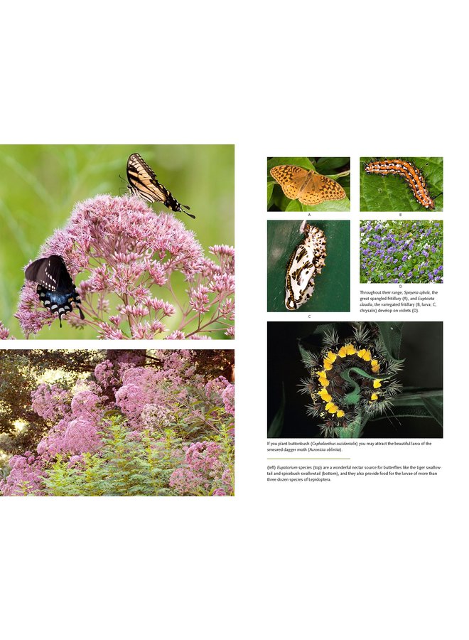 Bringing Nature Home