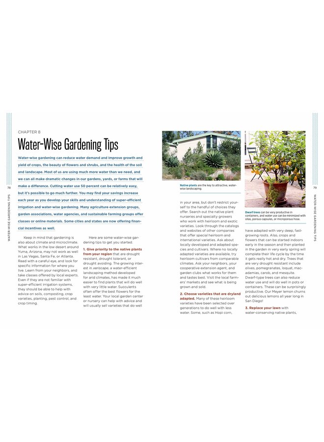 Gardening with Less Water