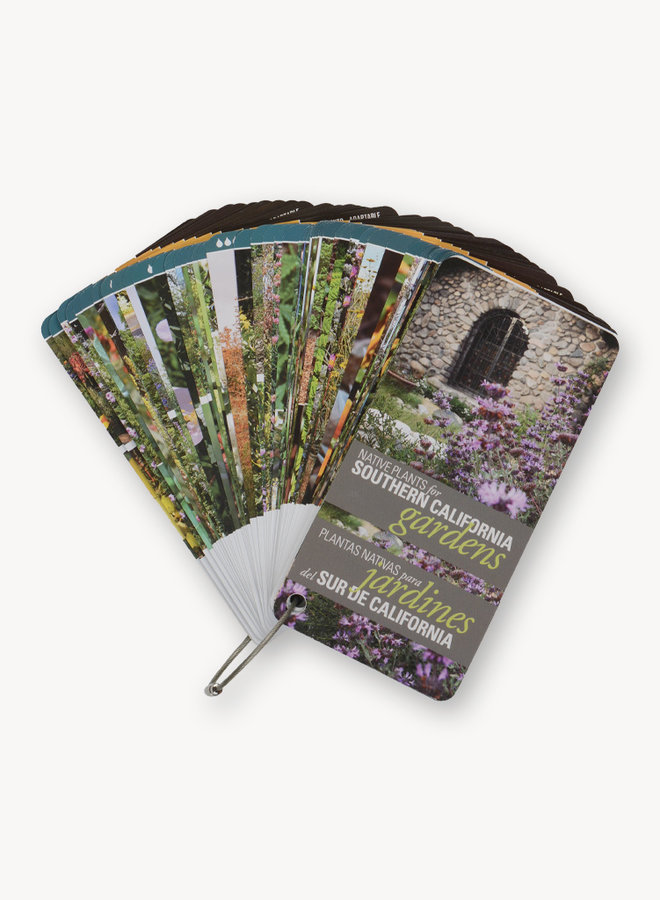 Native Plants for Southern California Gardens Flashcards