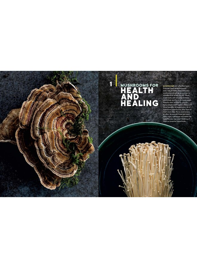 Christopher Hobbs's Medicinal Mushrooms: The Essential Guide