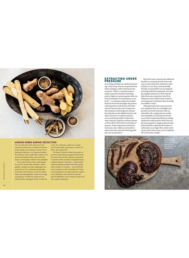 Christopher Hobbs's Medicinal Mushrooms: The Essential Guide