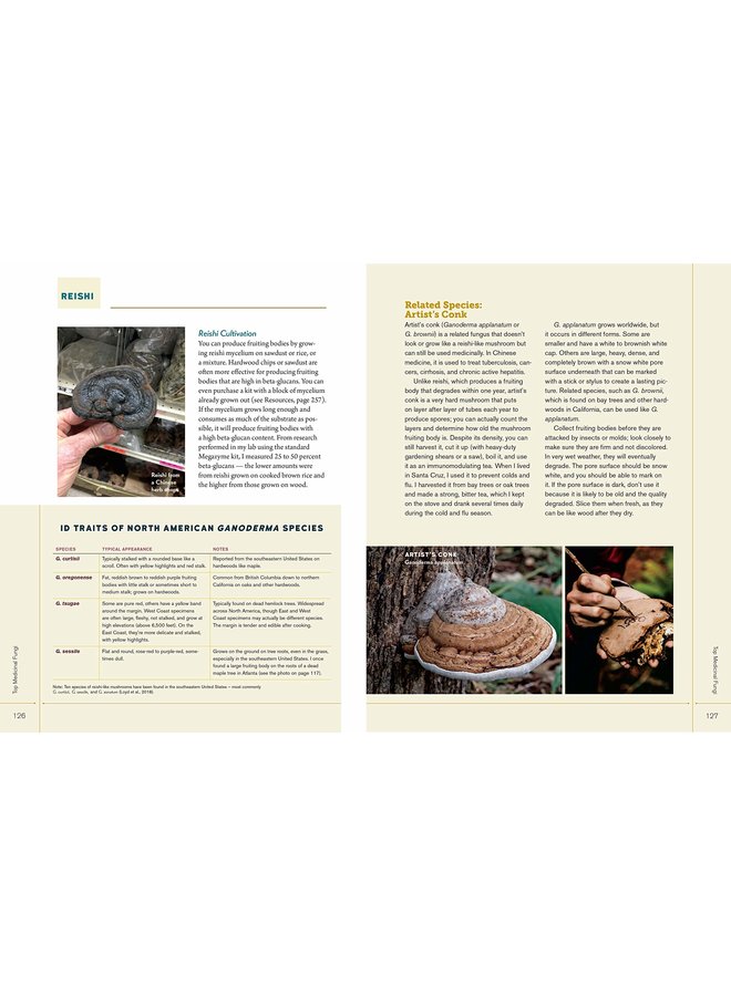 Christopher Hobbs's Medicinal Mushrooms: The Essential Guide