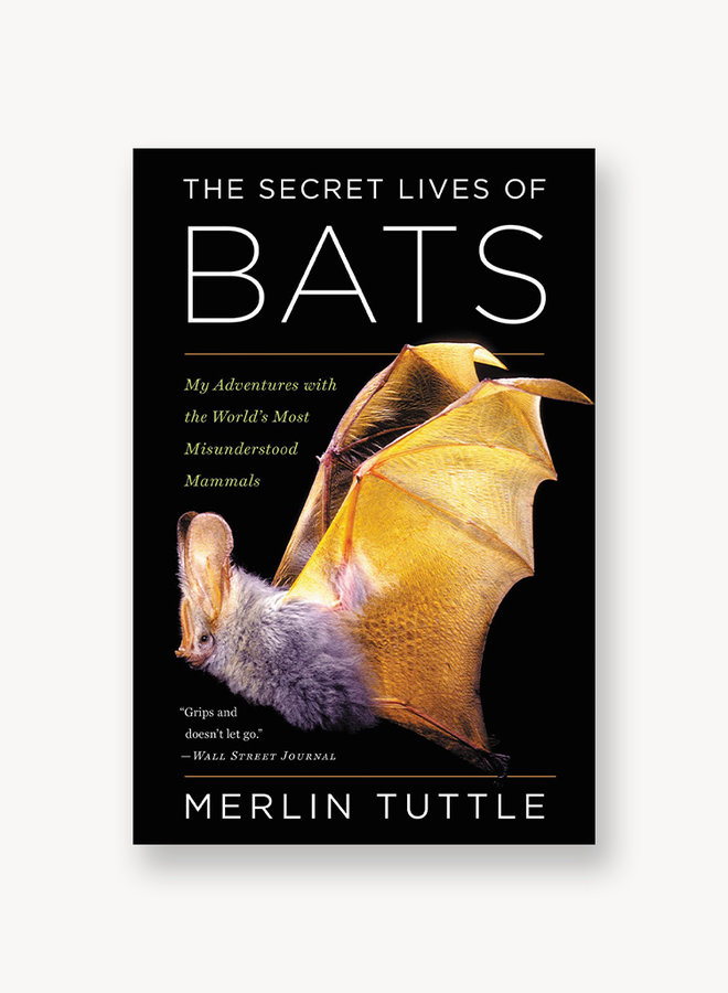 The Secret Lives of Bats: My Adventures with the World's Most Misunderstood Mammals