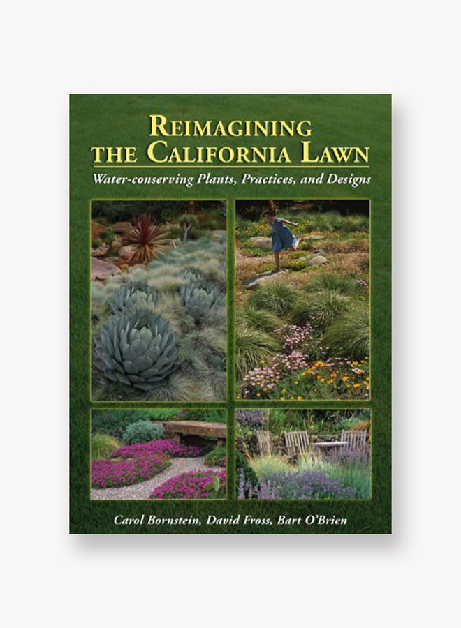 Reimagining The California Lawn