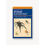Field Guide to the Spiders of California and the Pacific Coast States