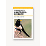 Introduction to California Birdlife