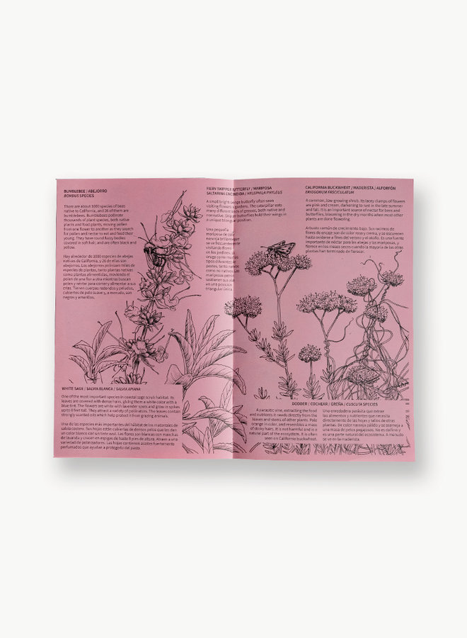 Wildlife of California Bilingual Zine