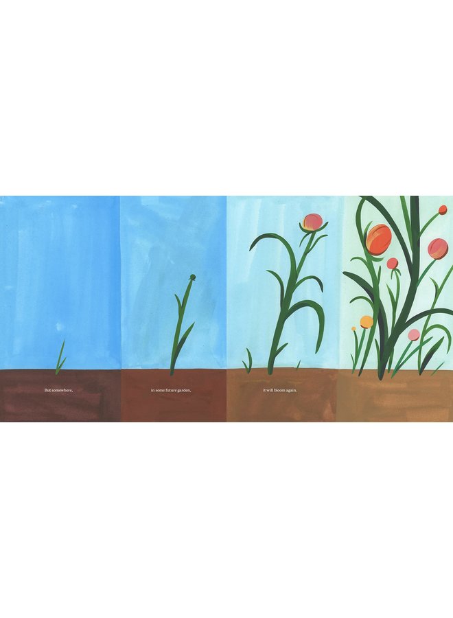 The Snail with the Right Heart: A True Story